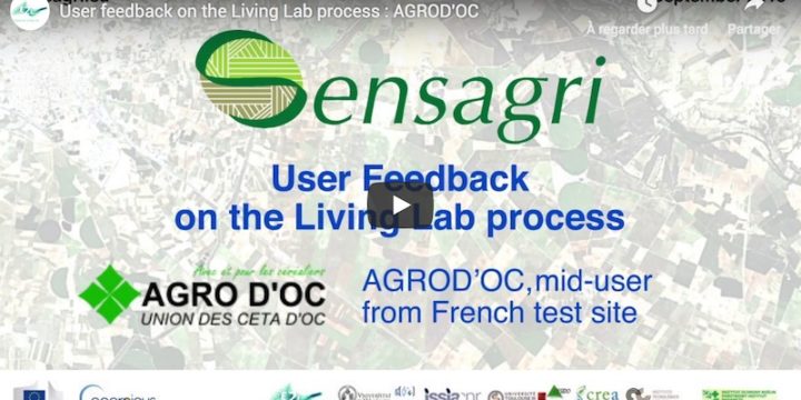 User feedbacks on the Living Lab process